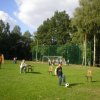 Vereinsleben - Sportfest 2009